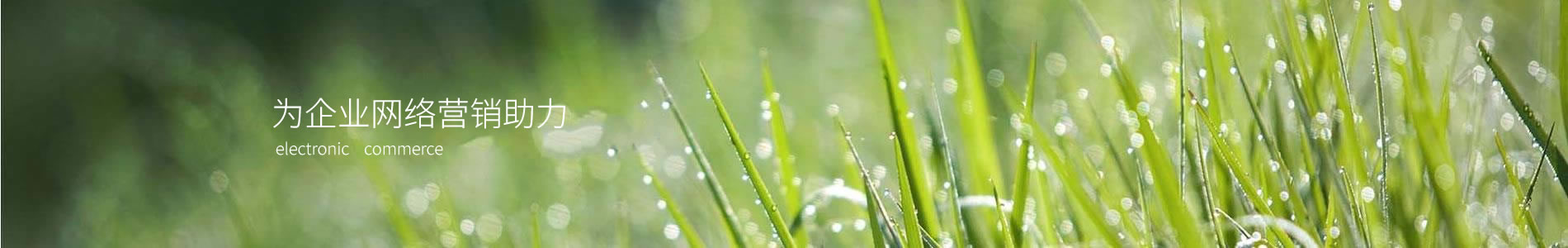 ӱһȻƼ޹˾